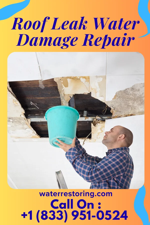 Roof Leak Water Damage Repair in Haring, MI