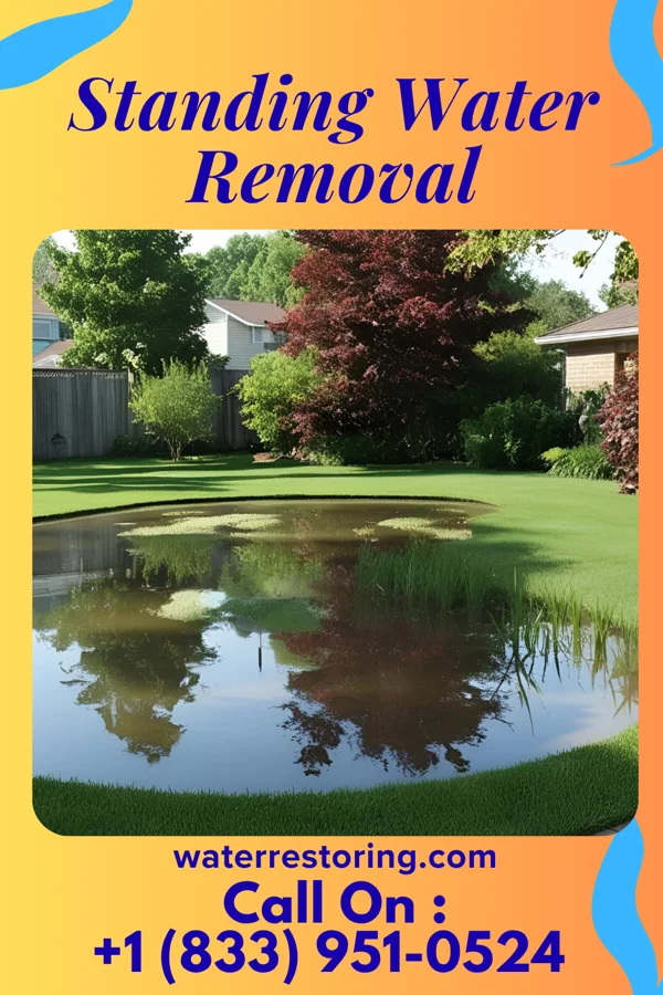 Standing Water Removal in Haring, MI